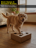Brain Games & Boredom Busters | 50 DIY Pet Enrichment Ideas