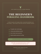 The Beginner's Foraging Handbook | Safe Identification & Spore Printing